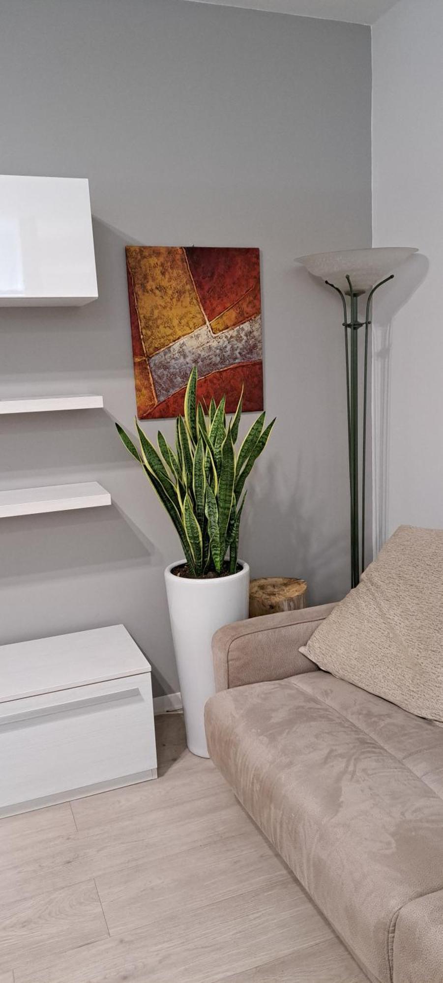 Marco Venice Apartment المظهر الخارجي الصورة